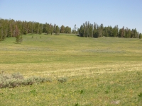 The CDT Near Union Pass